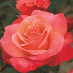 [Free] "Pink"| Lil Peep x XXXTentation type beat -Rap instru