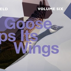 Wild Goose Flaps Its Wings (Mike Oldfield Cover)