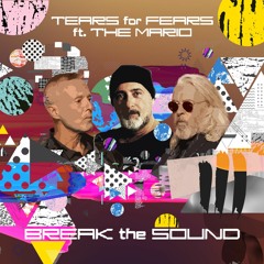 BREAK THE SOUND-TEARS FOR FEARS ft. THE MARIO REMIX Amazing on the dancefloor one week free download
