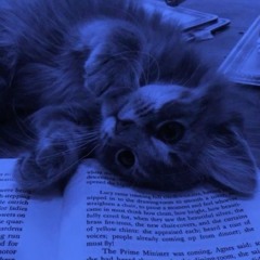 lights out (sped up)