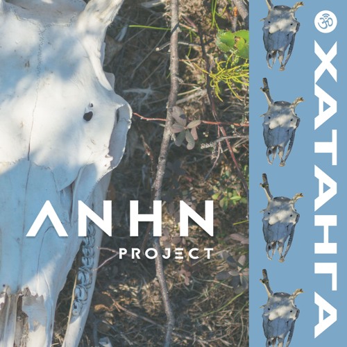 ANHN Project -  Поиск Сигнала