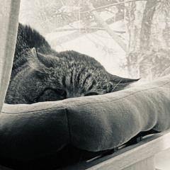 Cetus (demo 3/17/2026)