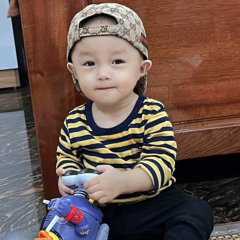 199x VietHouse By Zzzzz