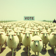 Veto this Truth Again, Mr. President!