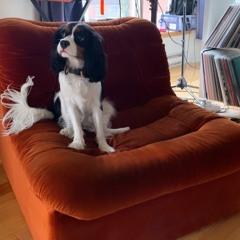 June 2021 pt.5 - Sunwaves ZZ Vibes