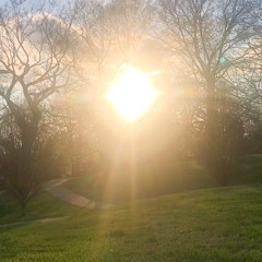 a song that wrote itself (01)