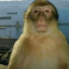 Bak onna X - Yeat *Full Leak*