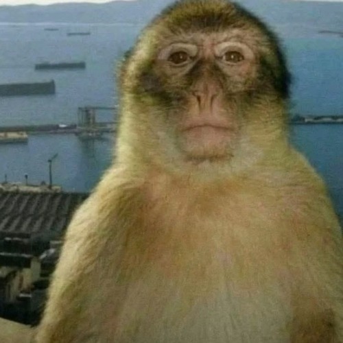 Bak onna X - Yeat *Full Leak*