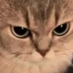 Crush em (Yeat and Uzi)