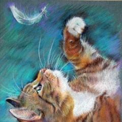 Feathered Cat