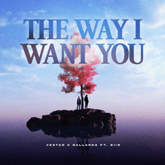Voster & Gallardo & Giin - The Way I Want You