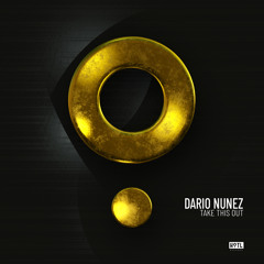 Dario Nunez - Take This Out (Extended Mix)