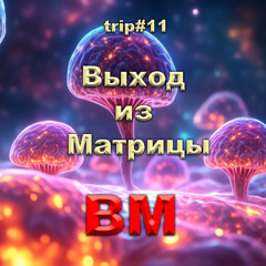 Выход из Матрицы»