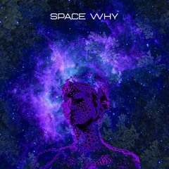 Vlademir-Space Why