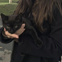 black cats pt2