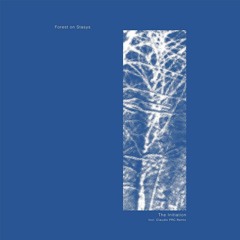 Premiere: Forest On Stasys - Atlantis (Initiation Drums)