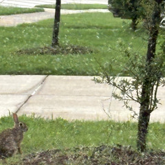 Wind breeze ft lluciux prod. @amicrayz