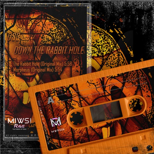 DS3 - The Rabbit Hole (Original Mix)