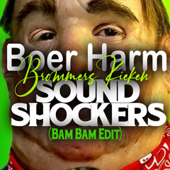 Boer Harm - Brommers Kieken (Soundshockers Bam Bam Edit)