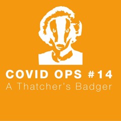 COVID OPS #14 - A Thatcher's Badger