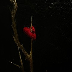 acariciabas mi espalda mientras arañabas mi alma