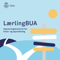 Gode tips fra lærling og instruktør - hvordan jobbe sammen i læretiden