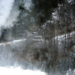 Compulsion (Andrew Weatherall Remix)
