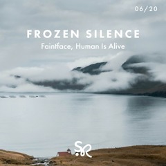 Frozen Silence