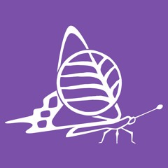 Beaty Museum - Spencer Entomological Collection