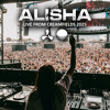 LIVE @ Creamfields Halo Stage 2025 DJ mix artwork - Electronic music tracklist cover image
