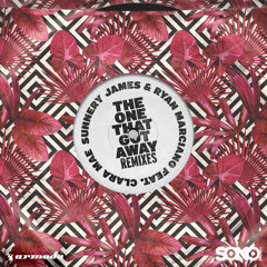 The One That Got Away (Mednas Remix) [feat. Clara Mae]