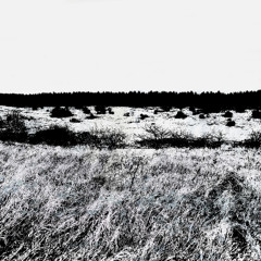 siberia (prod. world4sins + shunk)