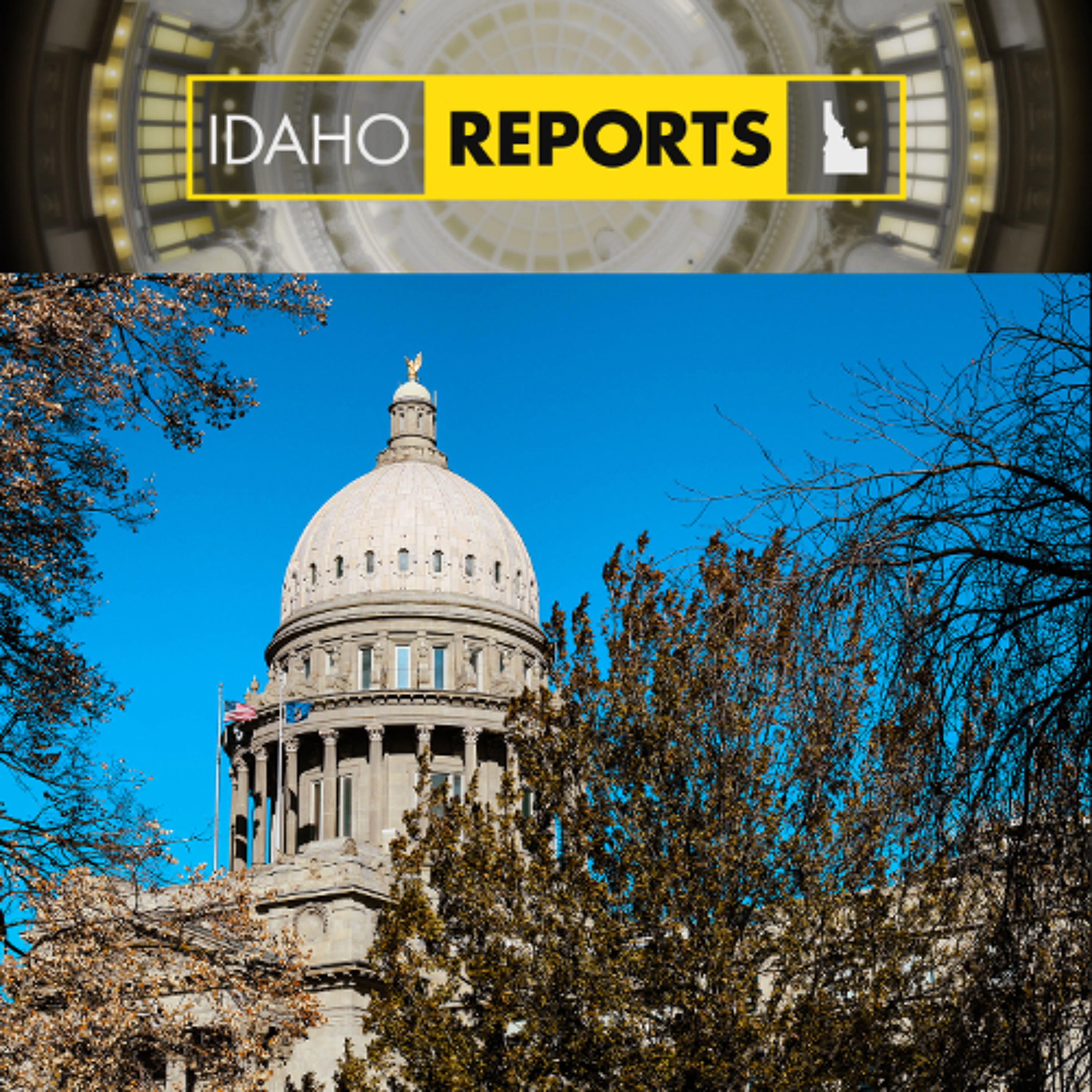 Promo: Welcome back to the Idaho Reports podcast episode artwork