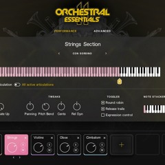 Orchestral Essentials 2 - The Ascendant (Maciek Dobrowolski)