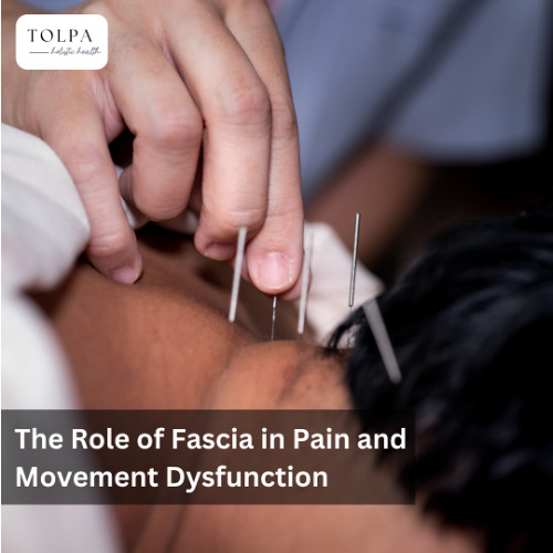 The Role of Fascia in Pain and Movement Dysfunction