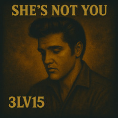 She's Not You