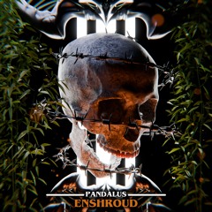 Enshroud