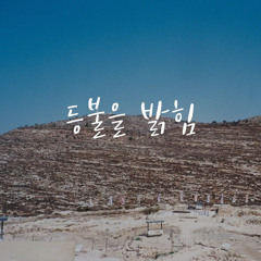등불을 밝힘
