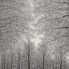 Winter Waits