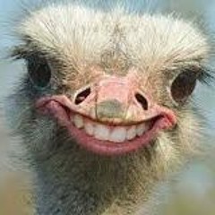 Mathe Dj Set Living Village Festival 2019