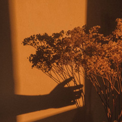 Giá Như Em Nhìn Lại - JISOL x VIRUSS  | An (cover)