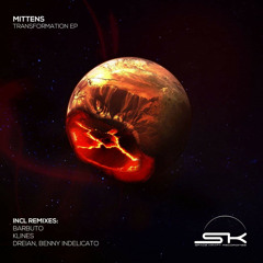 Dark Side Theory (Barbuto Remix)