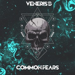 Veneris B - Common fears ,(Original mix)
