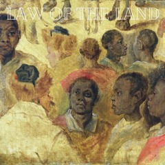 Law Of The Land (Freestyle)