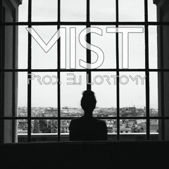 Mist (06/09/21)