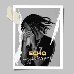 Echo