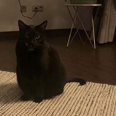 Prive Mix (Brussels after) MELODIC