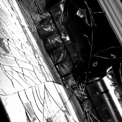 searching for a sanctuary