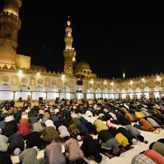 وَلَقَد خَلَقنَا الإِنسانَ مِن سُلالَةٍ مِن طينٍ || الشيخ رضا السويفي