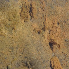 Trail Of Death